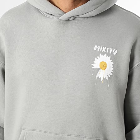 Classic Series - Sweat Capuche 512 Gris