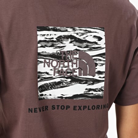 The North Face - Tee Shirt Femme Edge Of Light If A8E3J Taupe