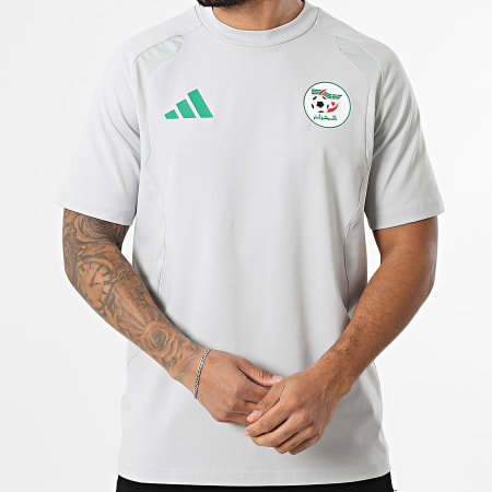 Adidas Sportswear - Algerian Football Federation T-Shirt JZ6257