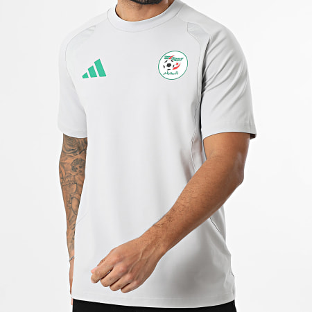 Adidas Sportswear - Tee Shirt Fédération Algérienne De Football JZ6257 Gris