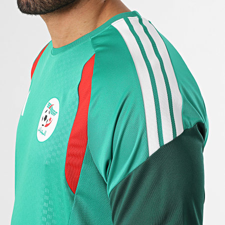 Adidas Sportswear - Maillot De Foot A Bandes Fédération Algérienne De Football JZ2724 Vert