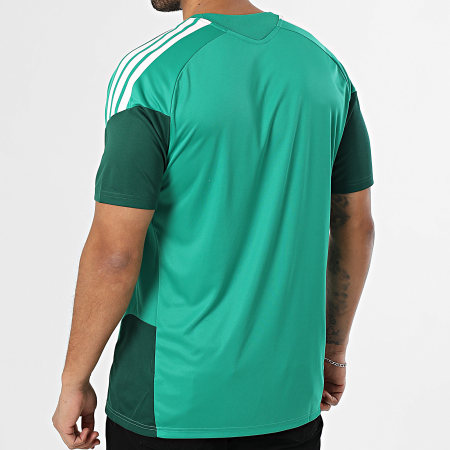 Adidas Sportswear - Maillot De Foot A Bandes Fédération Algérienne De Football JZ2724 Vert