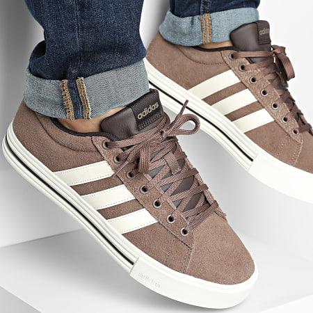 Adidas Sportswear - Baskets Daily 4.0 IH1591 Earth Strata Off White Aurora Coffee