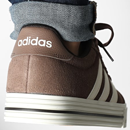 Adidas Sportswear - Baskets Daily 4.0 IH1591 Earth Strata Off White Aurora Coffee