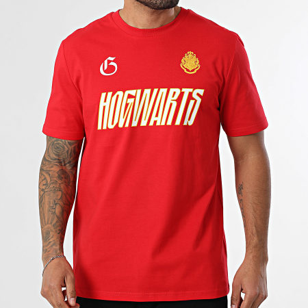 Harry Potter - Tee Shirt Oversize Large Gryffindor Rouge
