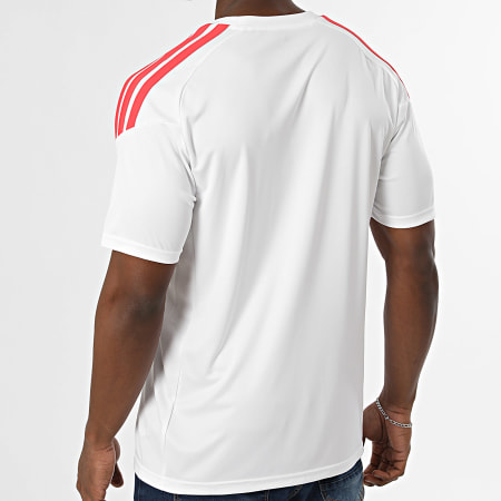 Adidas Sportswear - Tee Shirt Slim Fit A Bandes Tiro 26L Jersey KR0367 Blanc Rouge