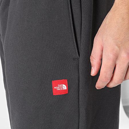 The North Face - Pantalon Jogging A8EG3 Gris Anthracite