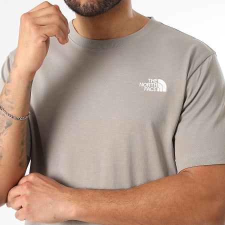 The North Face - Tee Shirt Evo Box A8B6K Gris