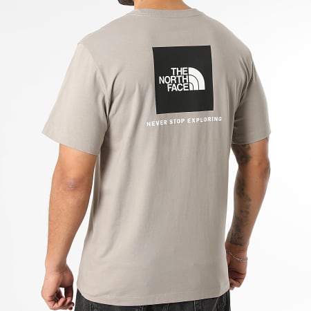 The North Face - Tee Shirt Evo Box A8B6K Gris