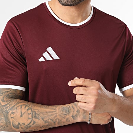 Adidas Sportswear - Tee Shirt ENT26 Jersey JZ2507 Bordeaux