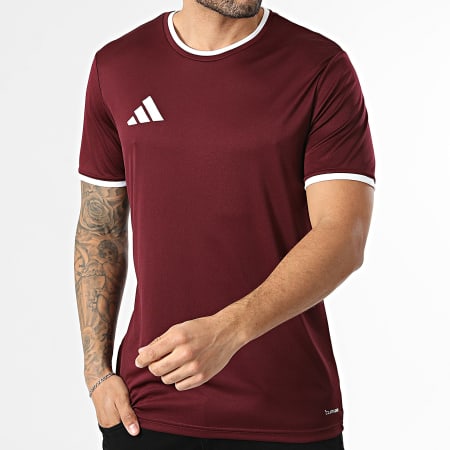 Adidas Sportswear - Tee Shirt ENT26 Jersey JZ2507 Bordeaux