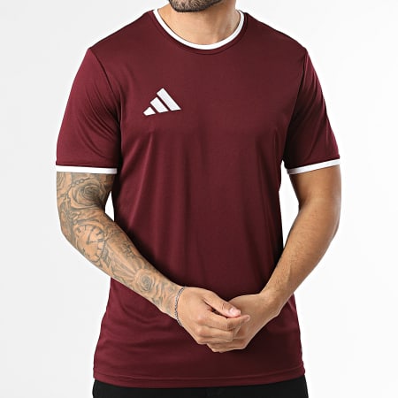 Adidas Sportswear - Tee Shirt ENT26 Jersey JZ2507 Bordeaux