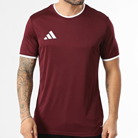 Adidas Sportswear - Tee Shirt ENT26 Jersey JZ2507 Bordeaux