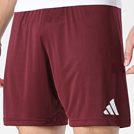 Adidas Sportswear - Short Jogging ENT26 JZ2514 Bordeaux