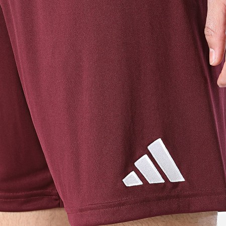 Adidas Sportswear - Short Jogging ENT26 JZ2514 Bordeaux