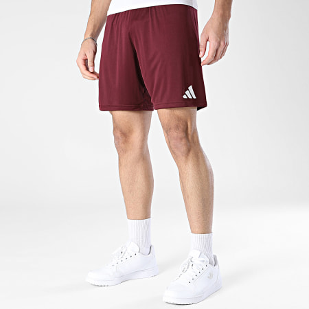 Adidas Sportswear - Short Jogging ENT26 JZ2514 Bordeaux