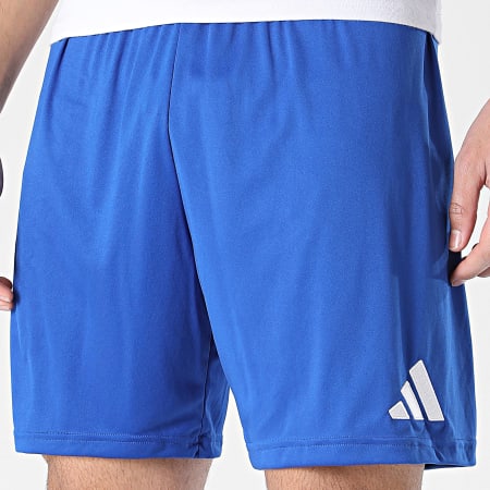 Adidas Sportswear - Short Jogging ENT26 JZ2520 Bleu Roi