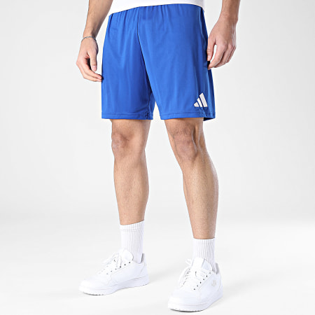 Adidas Sportswear - Short Jogging ENT26 JZ2520 Bleu Roi