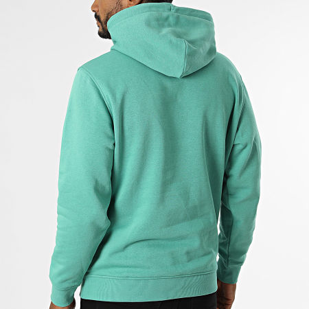Tommy Jeans - Sweat Capuche Linear Logo 0746 Vert