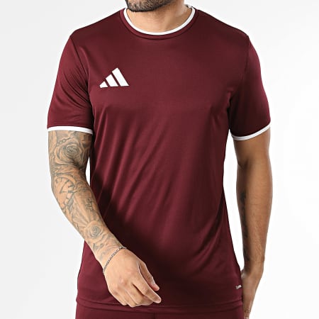 Adidas Sportswear - Ensemble Tee Shirt Et Short Jogging ENT26 JZ2507 JZ2514 Bordeaux