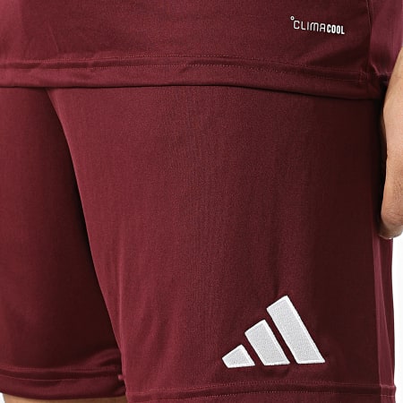 Adidas Sportswear - Ensemble Tee Shirt Et Short Jogging ENT26 JZ2507 JZ2514 Bordeaux