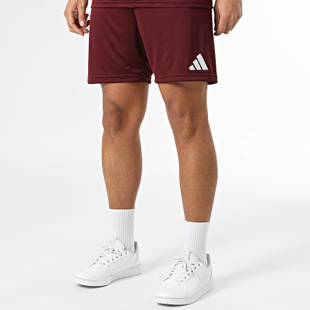 Adidas Sportswear - Ensemble Tee Shirt Et Short Jogging ENT26 JZ2507 JZ2514 Bordeaux