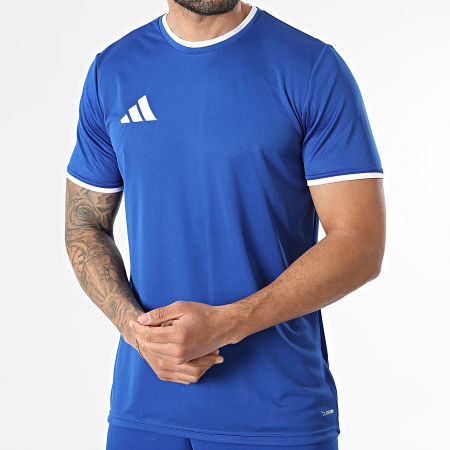 Adidas Sportswear - Ensemble Tee Shirt Et Short Jogging Entrada 26 Jersey JZ2506 JZ2520 Bleu Roi