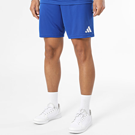 Adidas Sportswear - Ensemble Tee Shirt Et Short Jogging Entrada 26 Jersey JZ2506 JZ2520 Bleu Roi