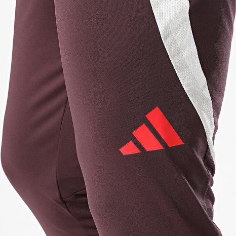 Adidas Sportswear - Pantalon Jogging FC Bayern Munich IS9939 Bordeaux