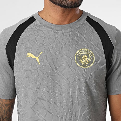 Puma - Maillot De Foot Manchester City Training Jersey 786214 Gris