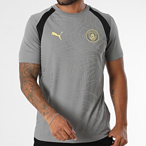 Puma - Maillot De Foot Manchester City Training Jersey 786214 Gris